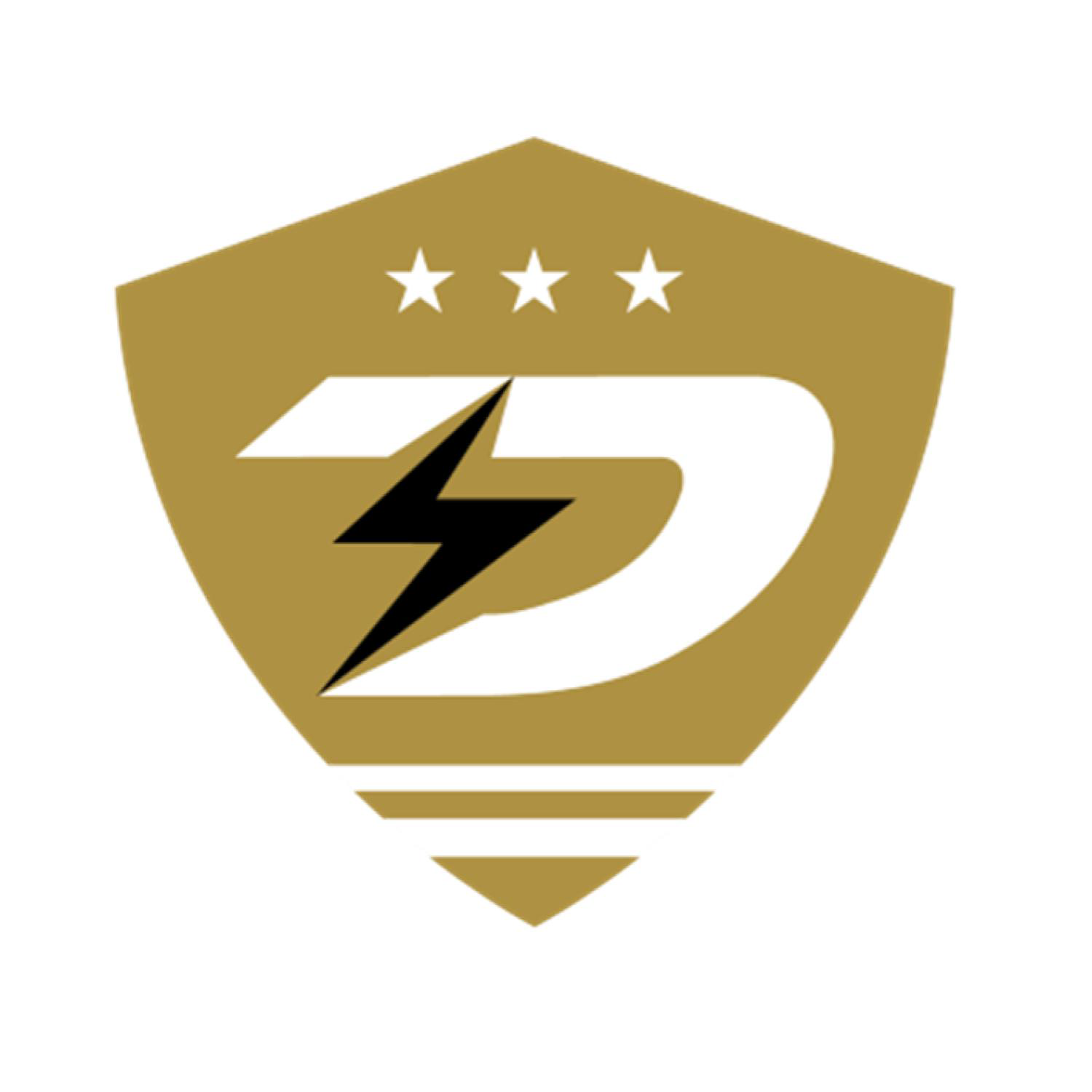 District Dynamo logo