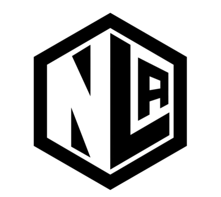 Next Level Academy logo